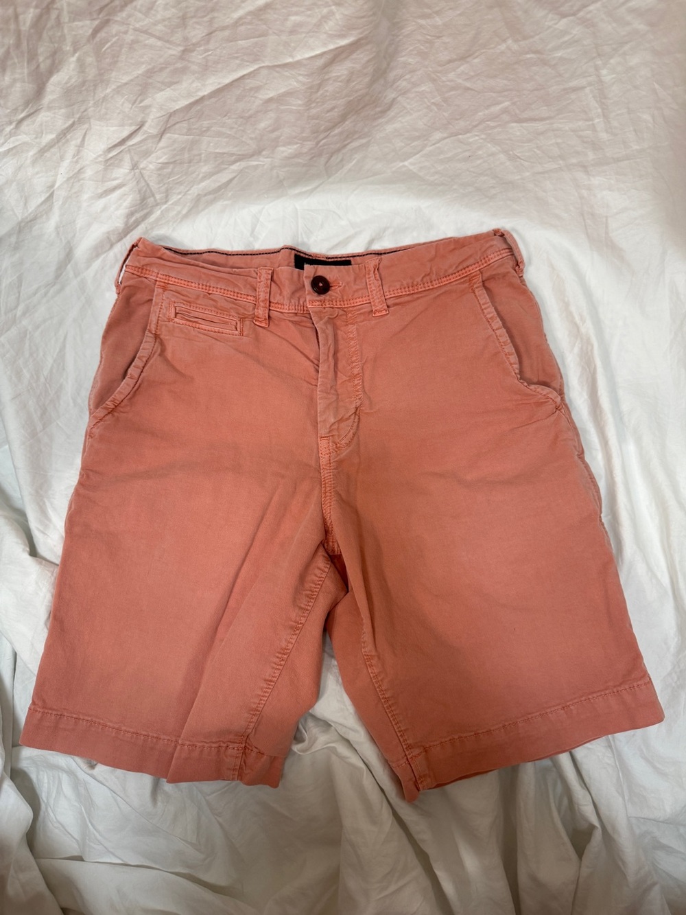 Men’s American Eagle Coral Ne(X)t Level Flex Classic Shorts. Size 28